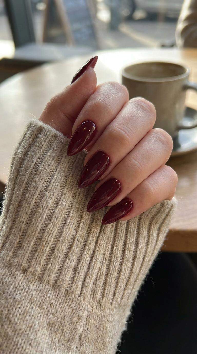 Bold Wine Stiletto Nails